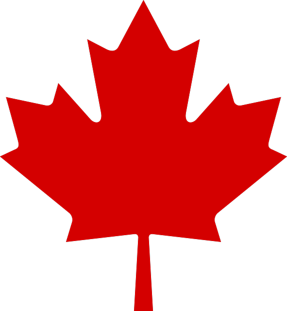 Three Quick Resources About How Maple Syrup Is Made - Maple Leaf Svg (591x640)