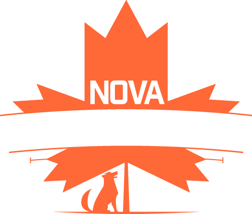 Pennsylvania (500x425)