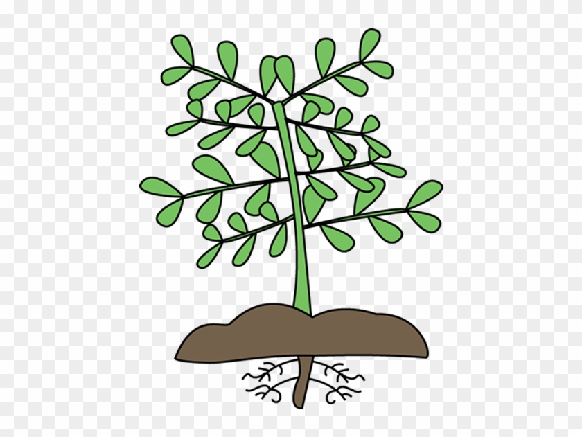 Mockingbird Nursery Site Icon - Plants Clipart #881