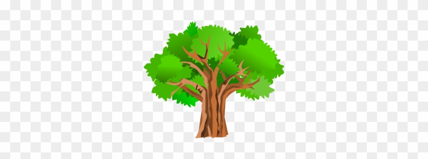 Oak Tree Clip Art #1081