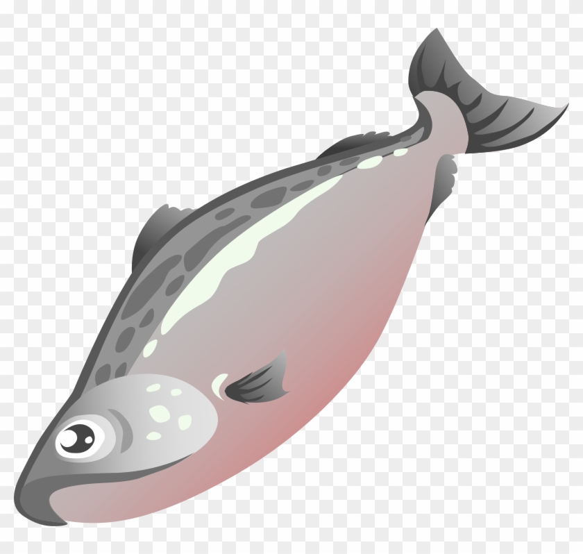 Medium Image - Salmon Fish Clipart #1089