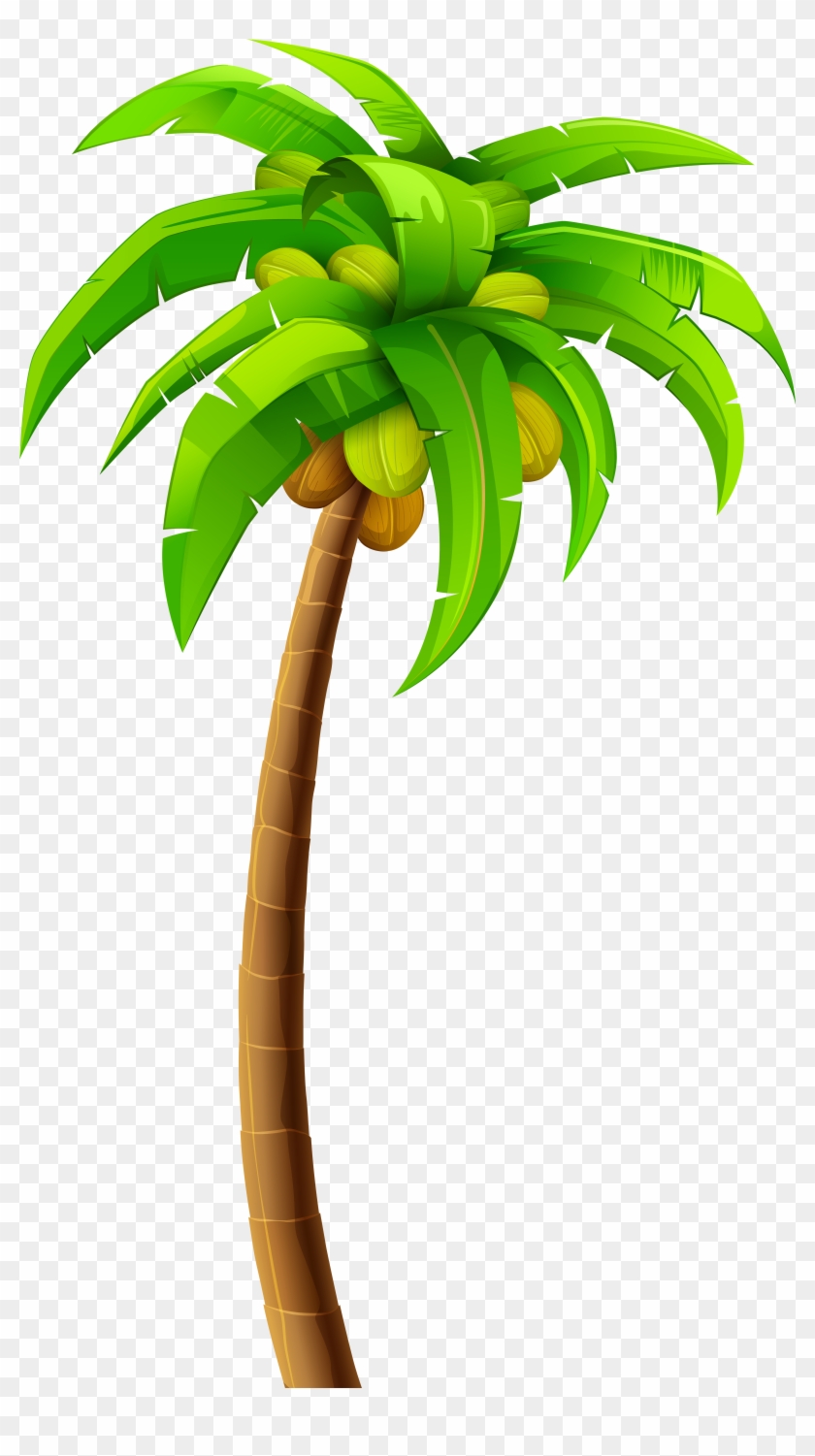 Palm Png Clip Art - Palm Png Clip Art #143