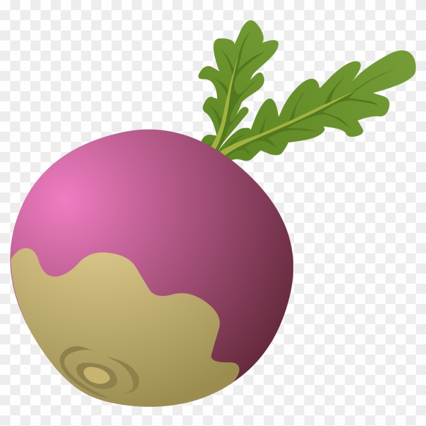 Food Turnip - Clip Art Turnip #1210