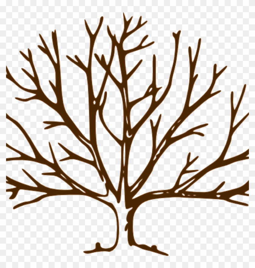 Bare Tree Clipart Bare Tree Clipart Clipart Panda Free - Draw A Tree With Snow #1257