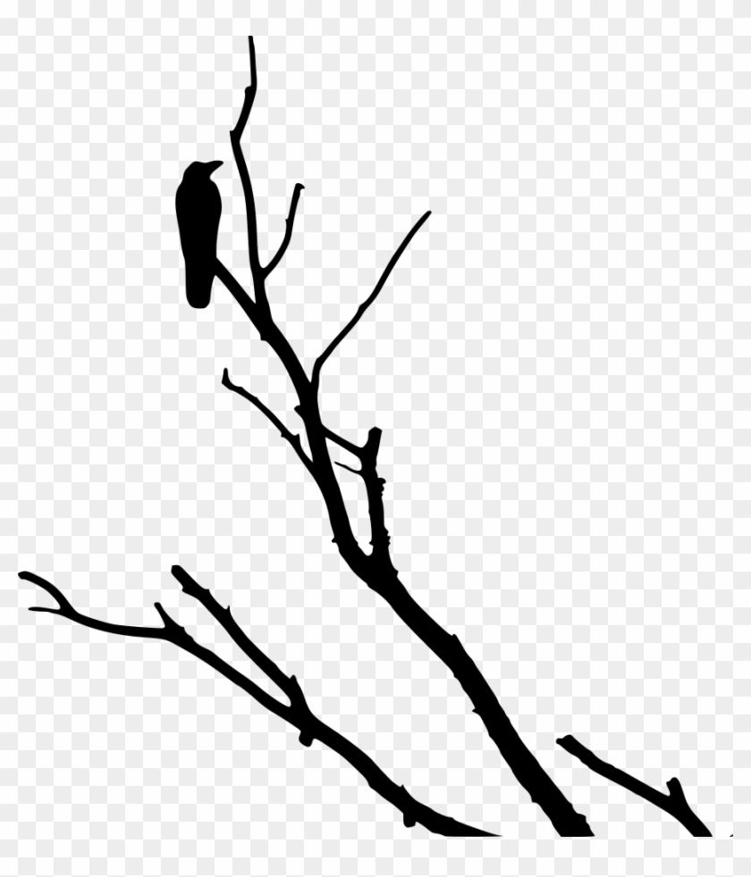 Crow On Dead Tree - Crow On Dead Tree #1262