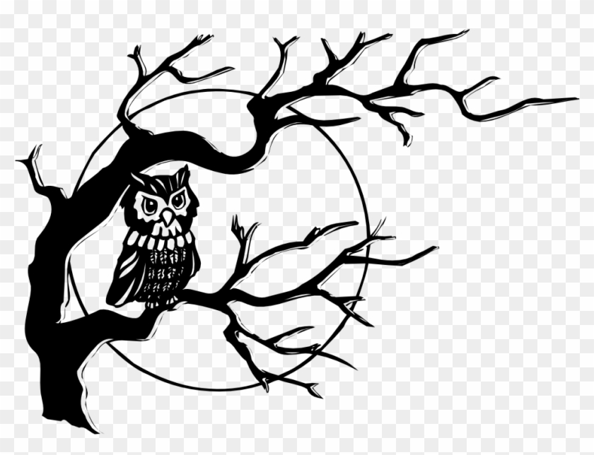 Clip Art Details - Owl On A Tree Drawing #1266