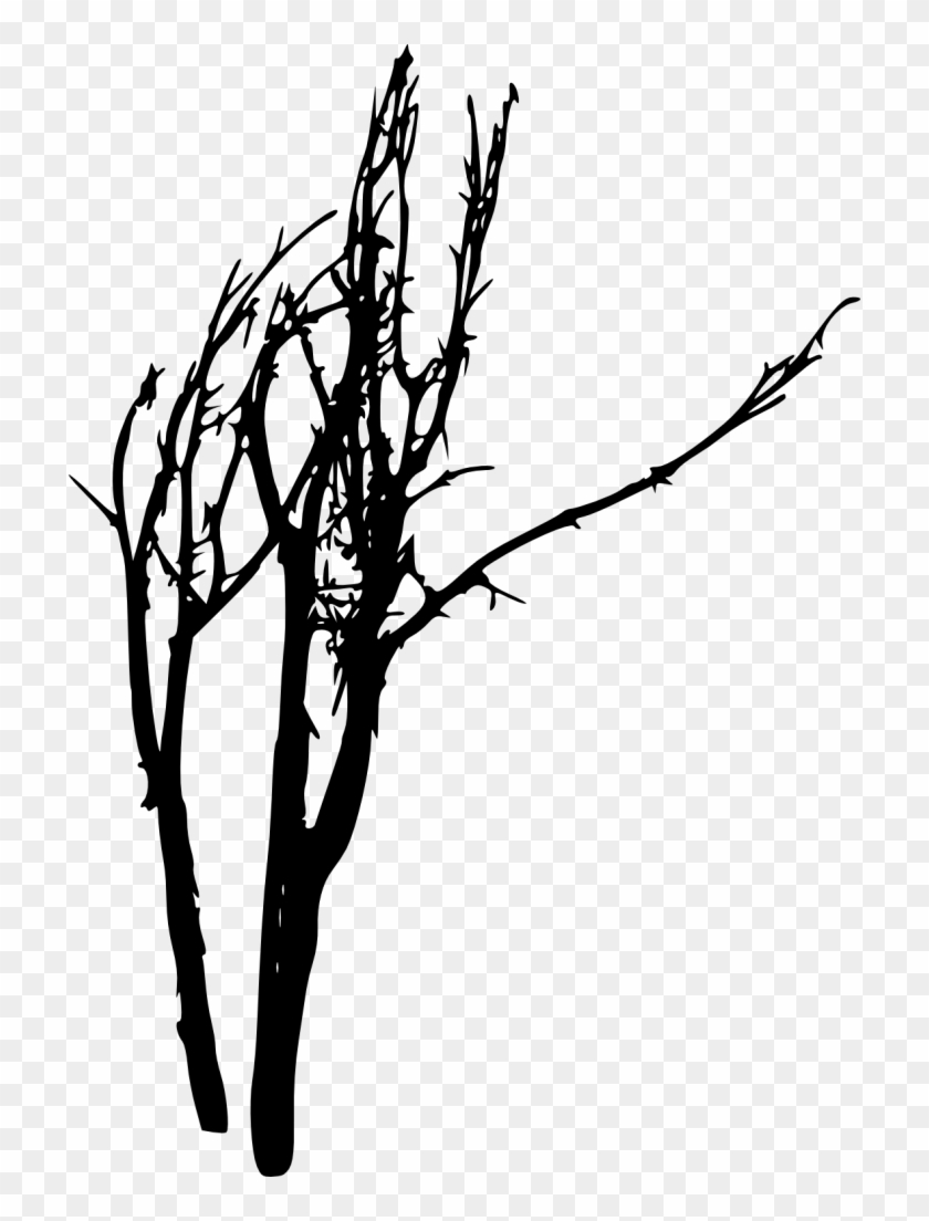 Dead Tree Silhouette Clip Art - Portable Network Graphics #1282