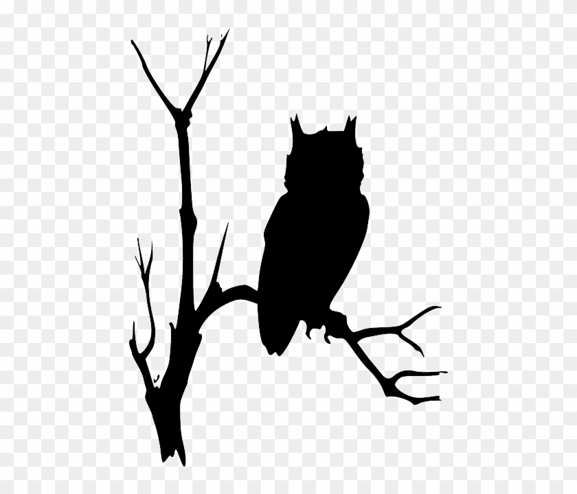 Free Image On Pixabay - Owl On Branch Silhouette #1286