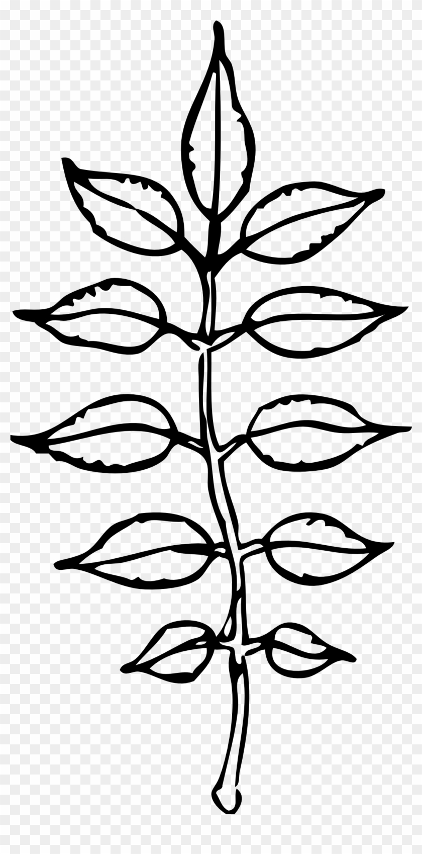 Leaves Black And White Pile Leaves Clip Art Black And - Leaves Black And White Pile Leaves Clip Art Black And #1408