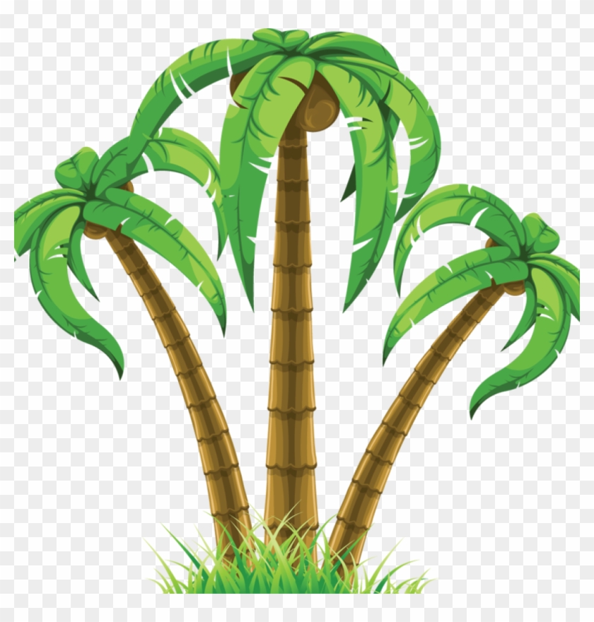 Palm Tree Clip Art Free Group Of Three Palm Trees 863786 - Palm Tree Clip Art Free Group Of Three Palm Trees 863786 #148