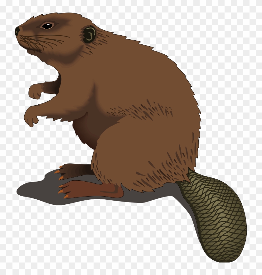 Brown Cartoon Beaver Clip Art - Brown Cartoon Beaver Clip Art #1467