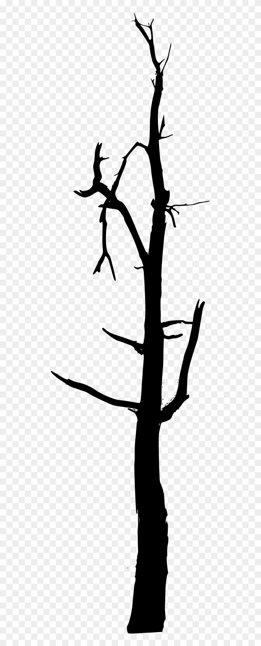 Bare Tree Silhouette Images - Bare Tree Silhouette Images #168