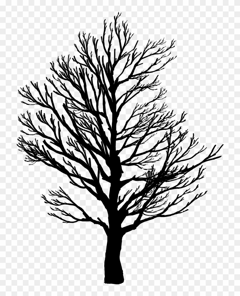 Barren Tree Silhouette - Barren Tree Silhouette #169