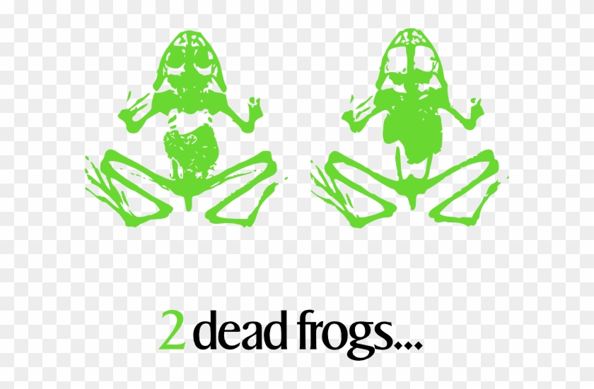 Free Vector 2 Dead Frogs Clip Art - Dead Frog Clip Art #1710