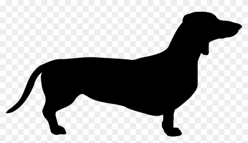 Dog Dachshund Breed Pet Coat Doggy The Sil - Happy Halloweenie Dachshund Wiener Dog Halloween T #1722