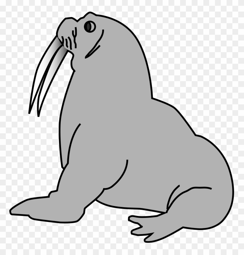 Australian Animals Clipart Free Download Clip Art - Seal Clip Art #1739