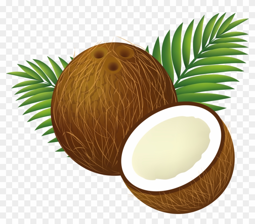 Tropical Coconut Drink Clipart - Tropical Coconut Drink Clipart #1819