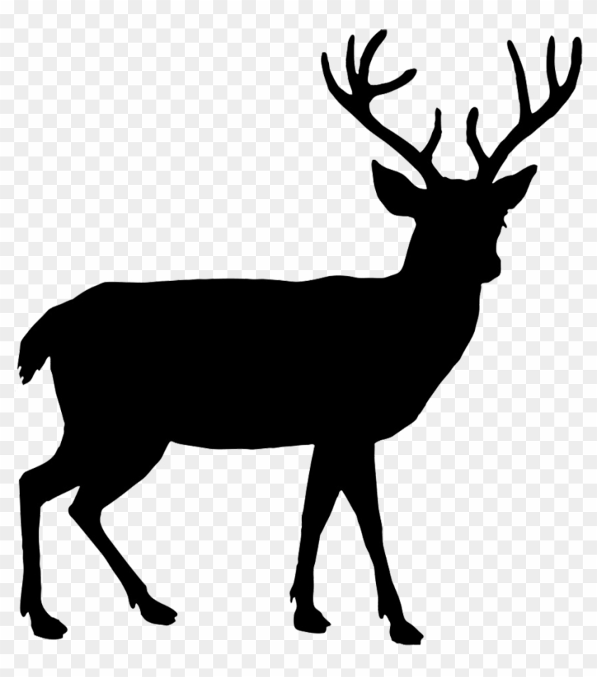 Beautiful Deer Silhouette - Beautiful Deer Silhouette #1814