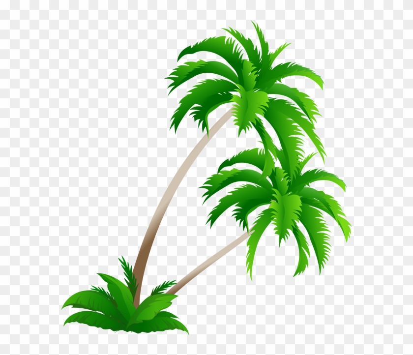 Arecaceae Coconut Tree Clip Art - Arecaceae Coconut Tree Clip Art #1846