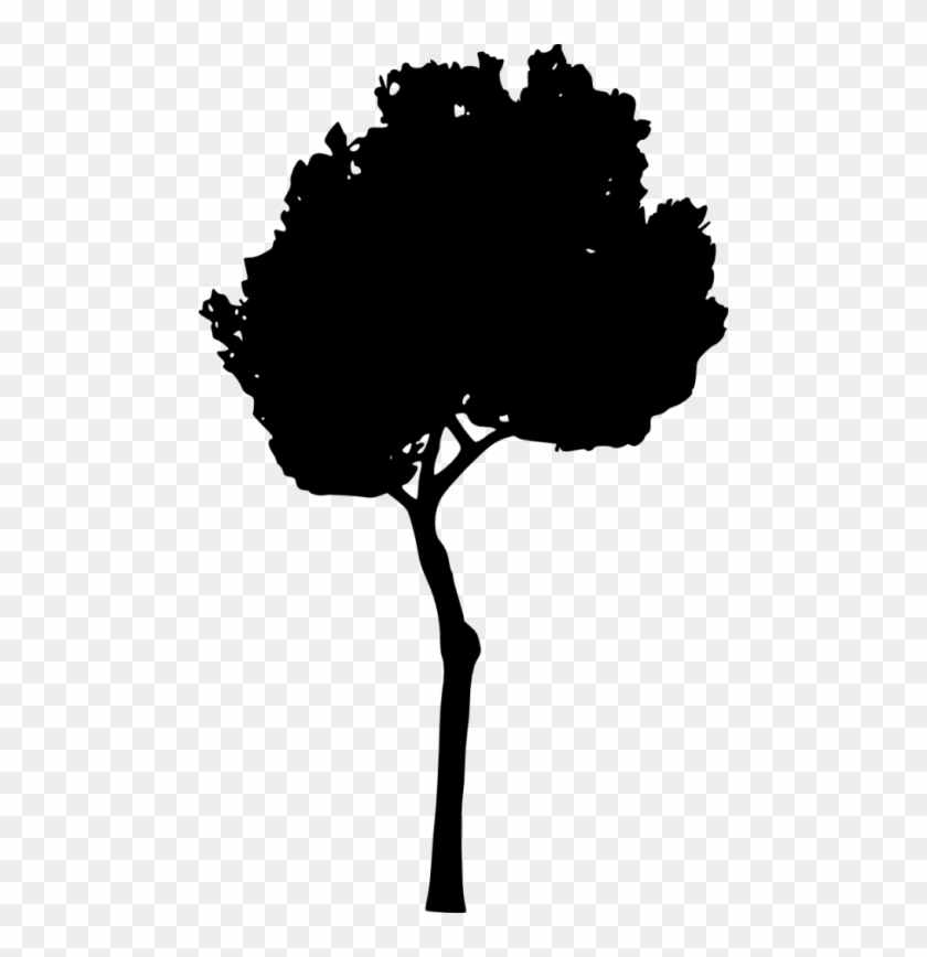 Free Png Tree Silhouette Png Images Transparent - Free Png Tree Silhouette Png Images Transparent #189