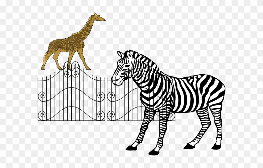 Zoo Animals Clip Art - Zebra Drawing Black And White #1879