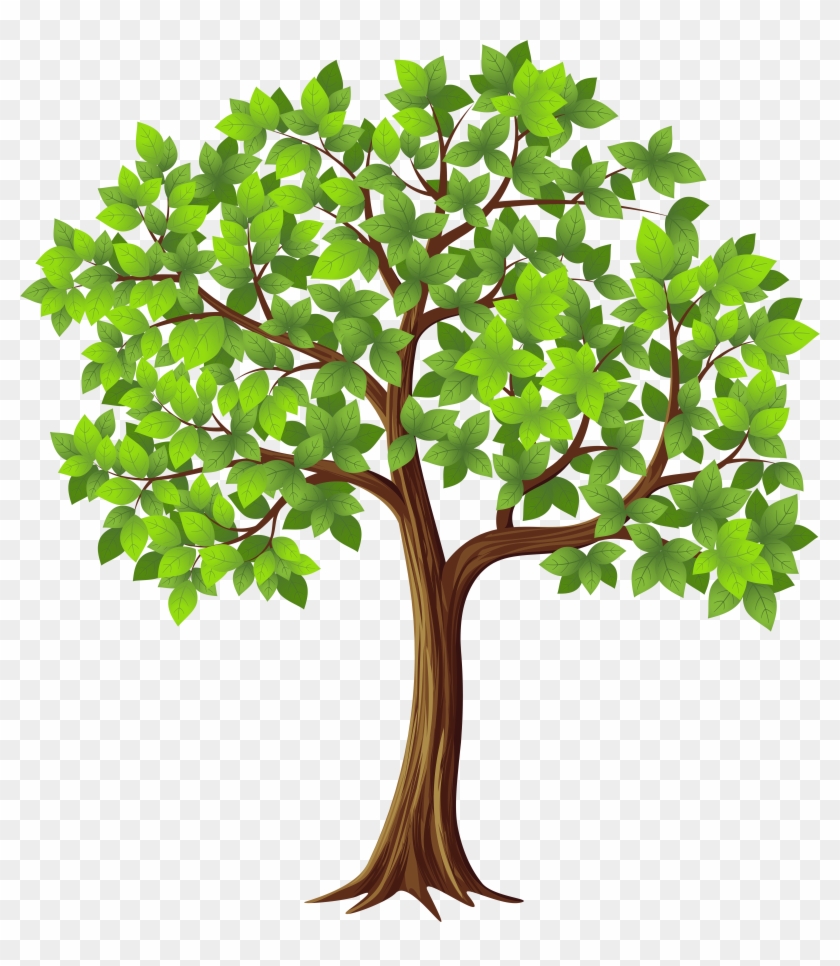 Tree Png Transparent Clip Art Image Free Download - Tree Png Transparent Clip Art Image Free Download #215