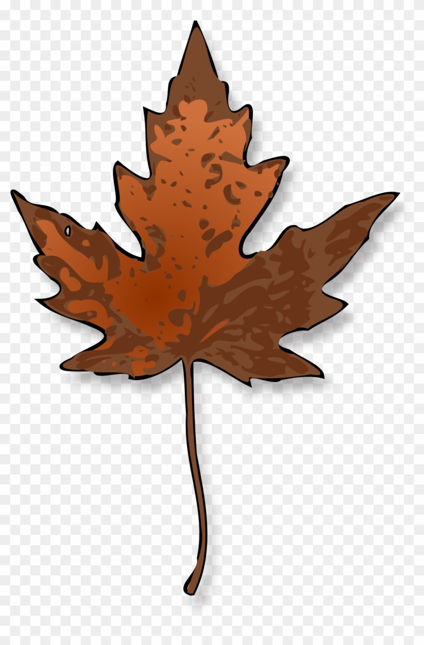 Maple Leaf Clip Art #1999