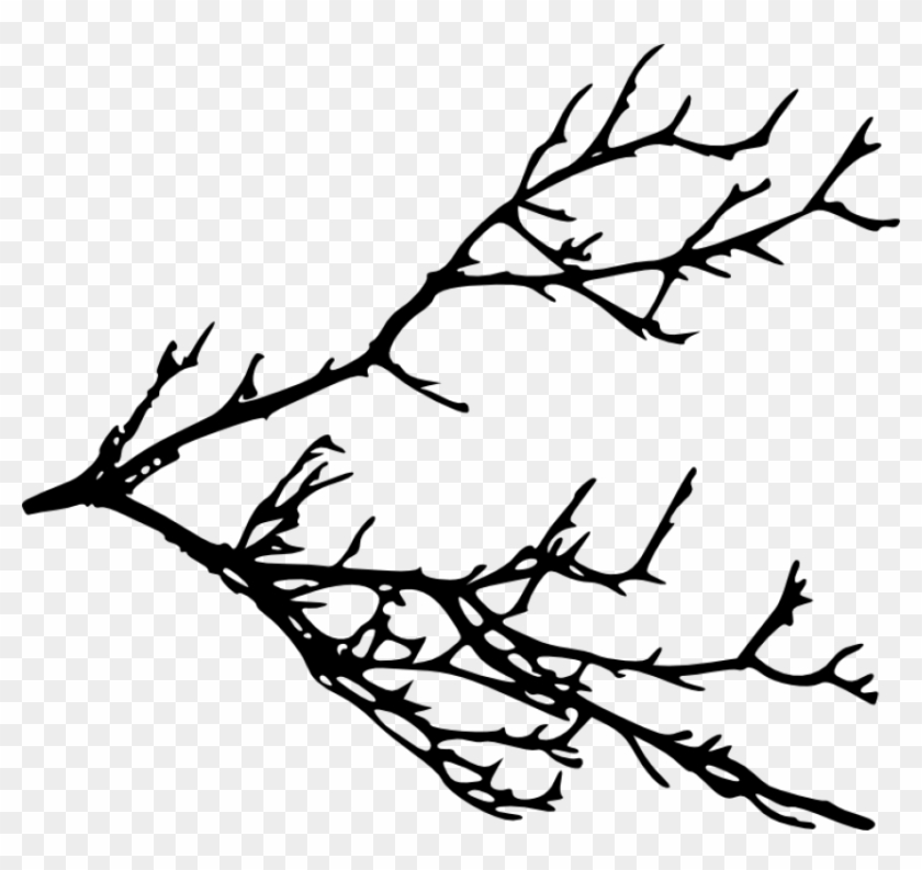 Free Png Tree Branches Silhouette Png Images Transparent - Tree Branches Silhouette #2019