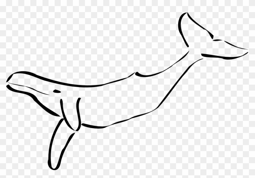 Whale Black White Line Art Copy Christmas Xmas Stuffed - Hump Back Whale Clip Art #2034
