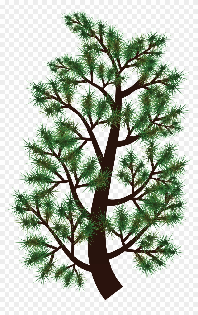 Free Clipart Of A Pine Tree Branch - Free Clipart Of A Pine Tree Branch #228