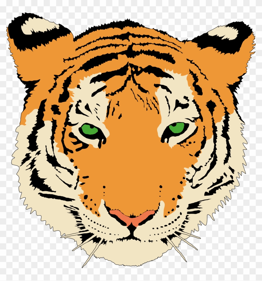 Tiger By @anonymous, A Young Tiger's Head, On @openclipart - Sma N 1 Simo #2124