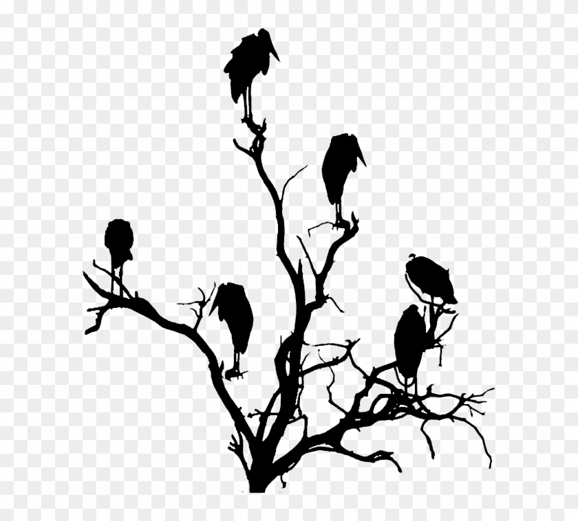 Vulture In A Tree Silhouette - Vulture In A Tree Silhouette #223