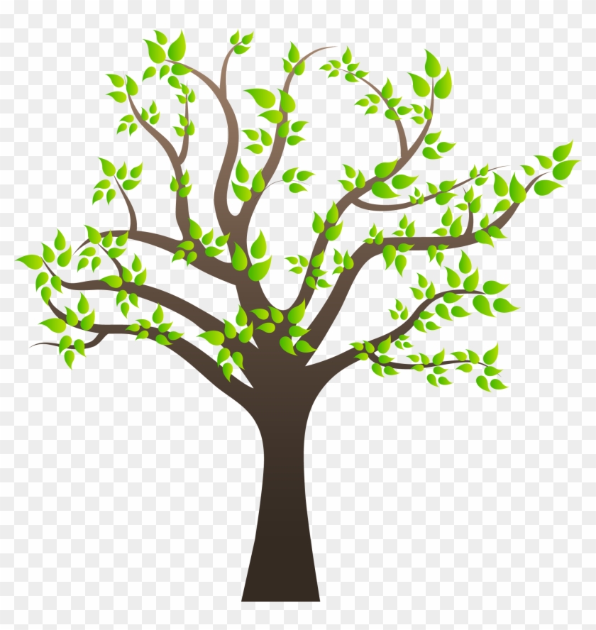 Tree Clipart Png Image 01 - Photosynthesis In A Tree #2376