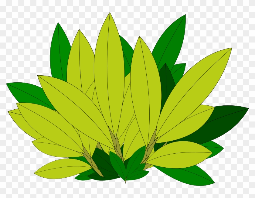 Clipart Tree Leaf Foliage Leaves Pencil And In Color - Tree #2411