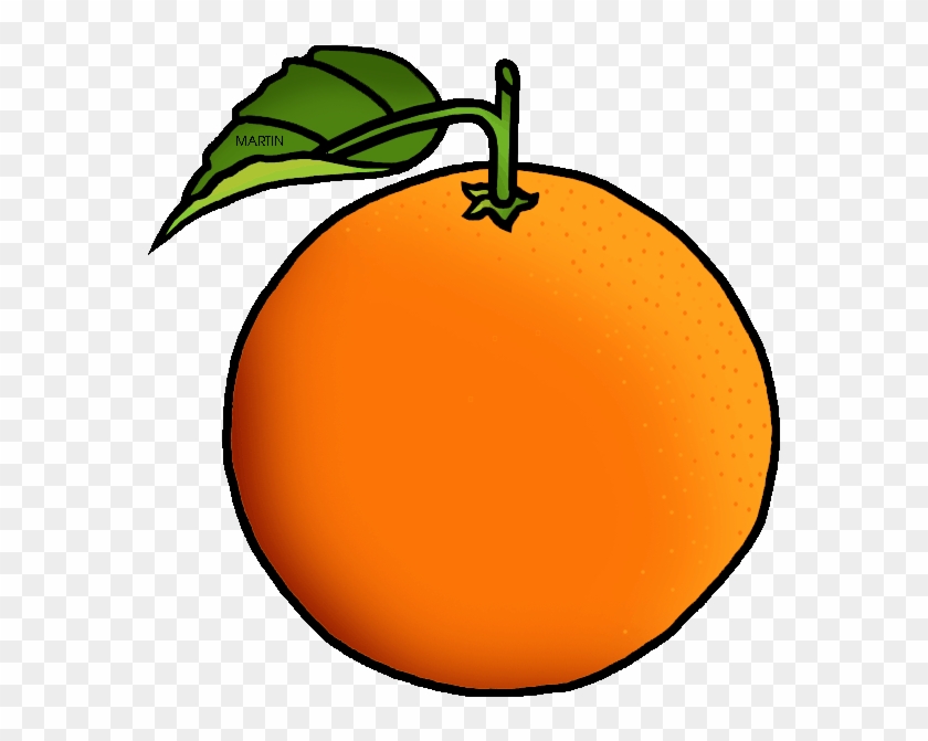 Orange Clipart - Orange Clipart #2423