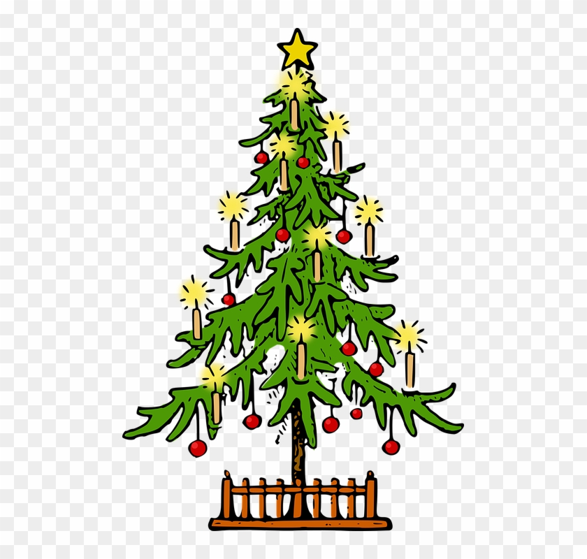 Fir Tree Clipart Conifer - Christmas Tree #2418