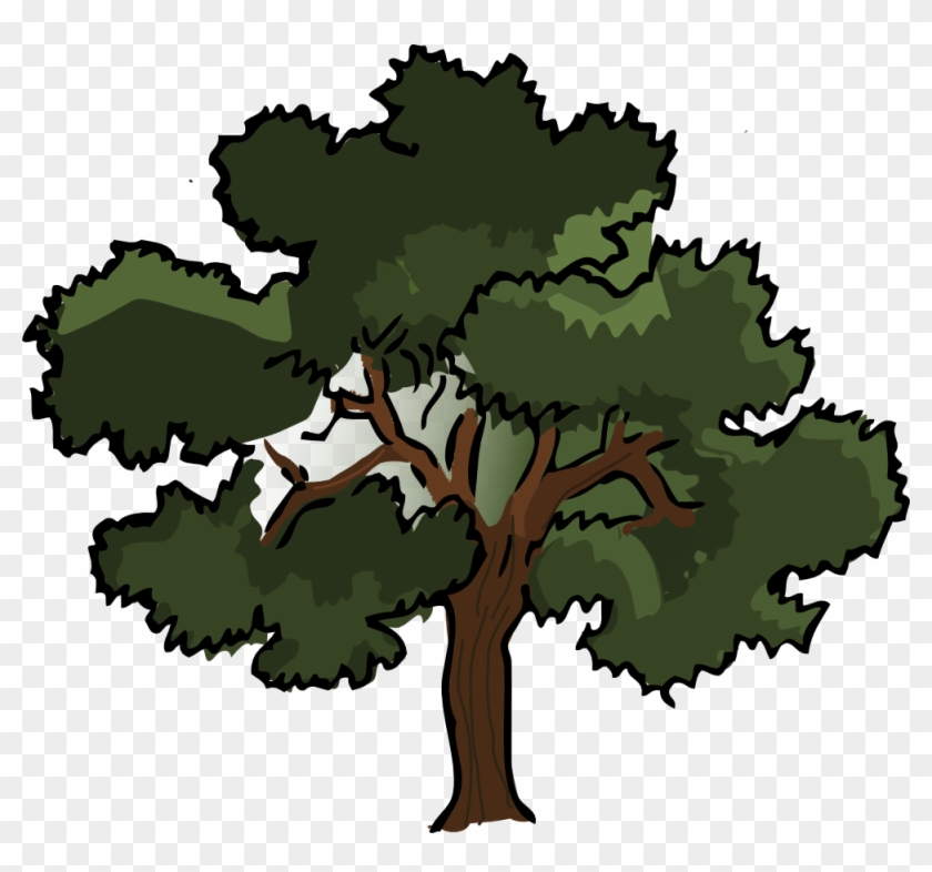 Oak Tree Vector Free Download - Oak Tree Vector Free Download #271
