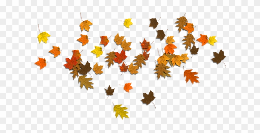 Fall Leaves Clip Art - Autumn #2608