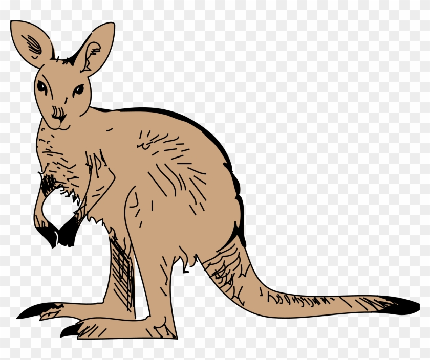 Cute Furry Kangaroo Clip Art - Animated Kangaroo Png #2661