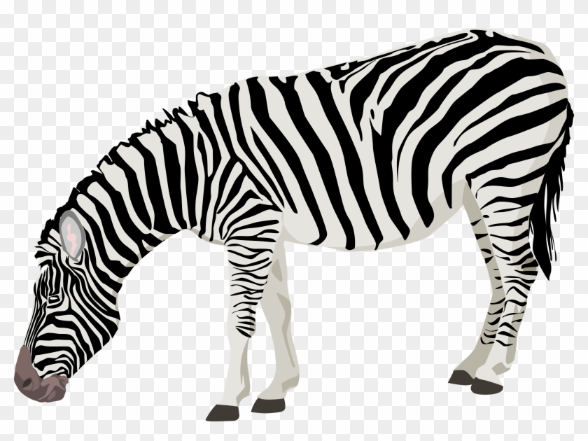 Zebra Clipart Transparent Background - Zebra Png #2685