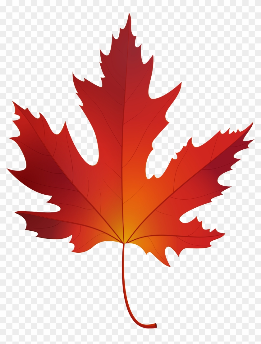 Autumn Maple Leaf Png Clip Art - Autumn Maple Leaf Png Clip Art #2856