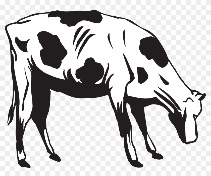 Grass Black And White Black Cow Eating Grass Clipart - Cow Eating Clip Art #2855