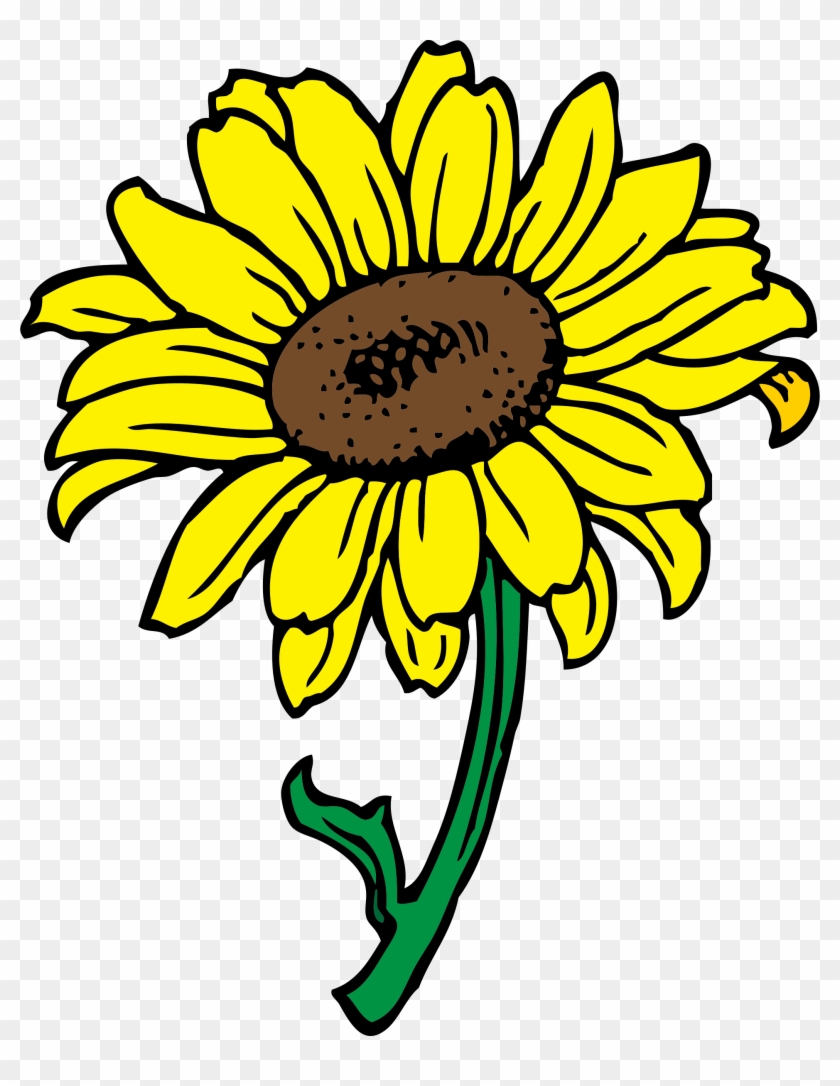 Sunflower - Sunflower Clipart Transparent Background #2912