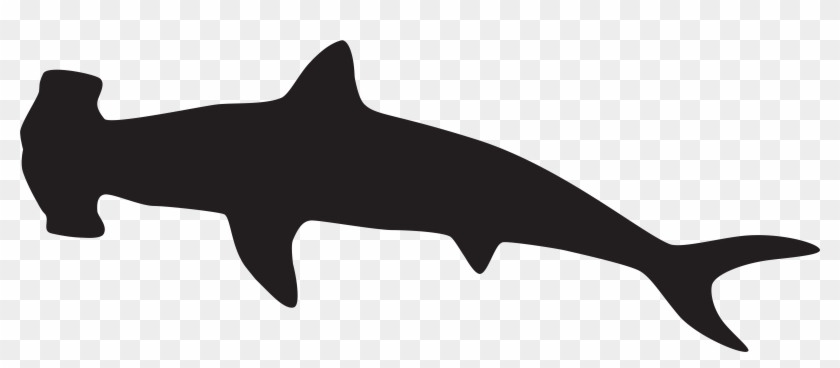 Hammerhead Shark Silhouette Png Clip Art Imageu200b - Hammerhead Shark Silhouette #2952