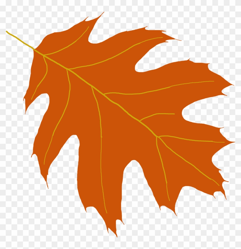 Oak Tree Leaf Clipart - Brown County, Wisconsin #2959