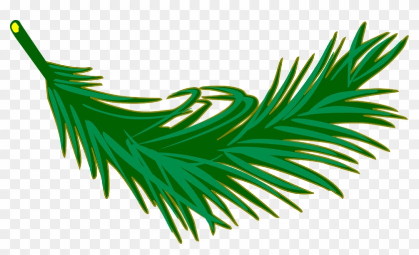 Branch Frond Leaf Leafy Leaves Palm Plant - Palm Leaf Clip Art #2984