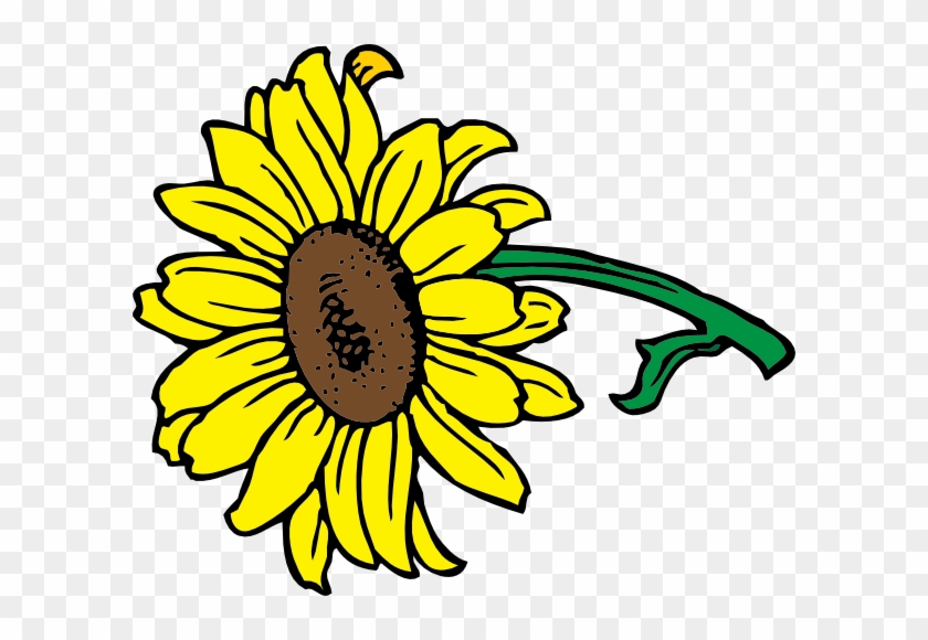 Sunflower Clip Art #3061