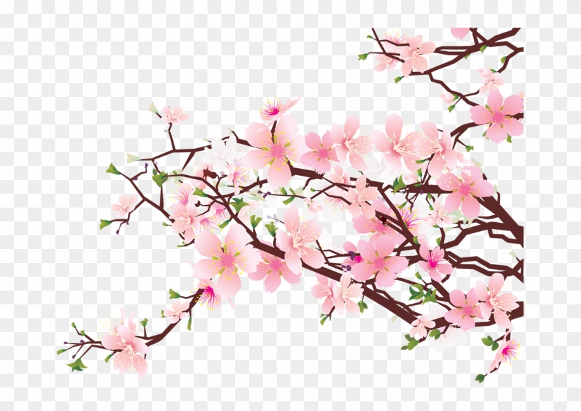 Cherry Blossom Clip Art - Cherry Blossom Clip Art #327