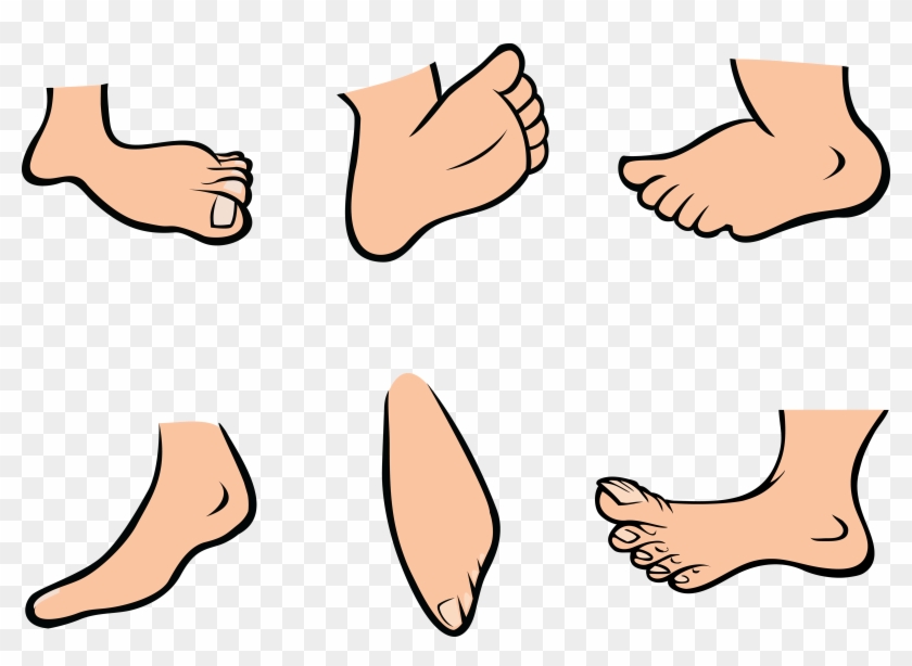 Bunny Feet Clipart Elegant Free Animataed Collection - Foot Cartoon Png #3224