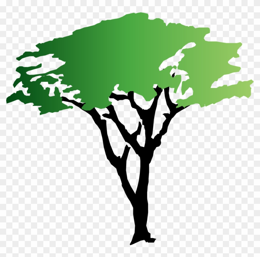 Green Tree Clipart - Acacia Tree Clipart #3273